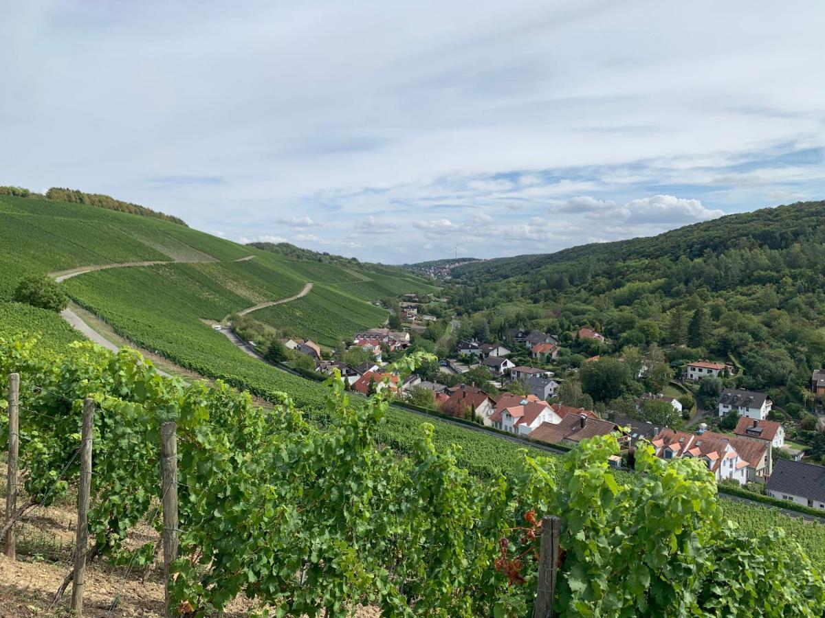 Neues Inserat, Modernes Penthouse, Nahe Würzburg Wurzburgo
